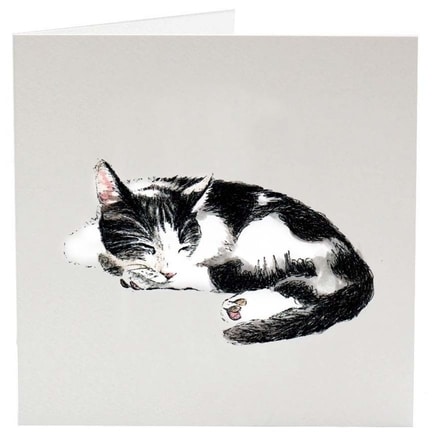 Greeting Card - Cat Nap