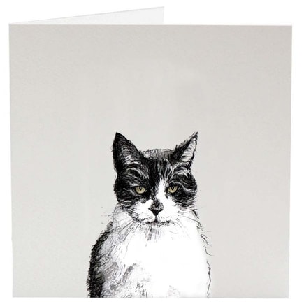Greeting Card - Smudge