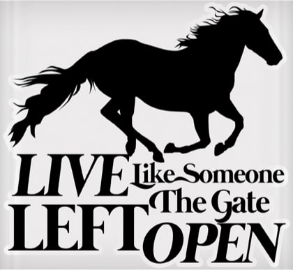Vinyl Decal - Live Like Someone Left the Gate Open 6