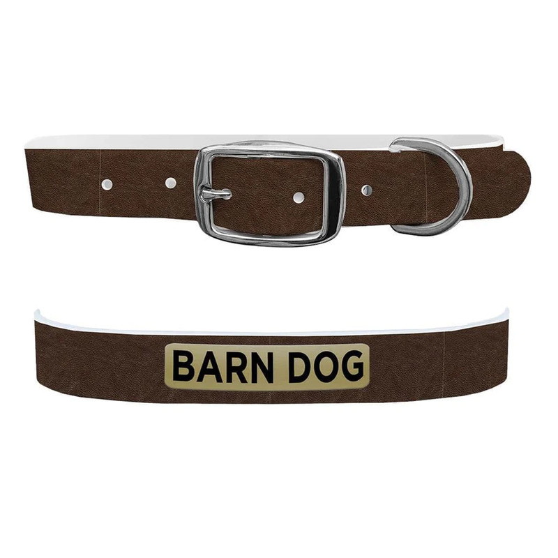 C4 Dog Collar - Barn Dog