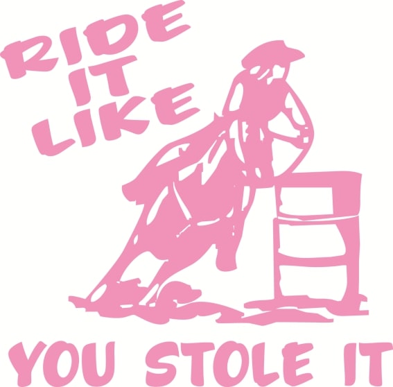 Vinyl Decal - Ride It Like You Stole It