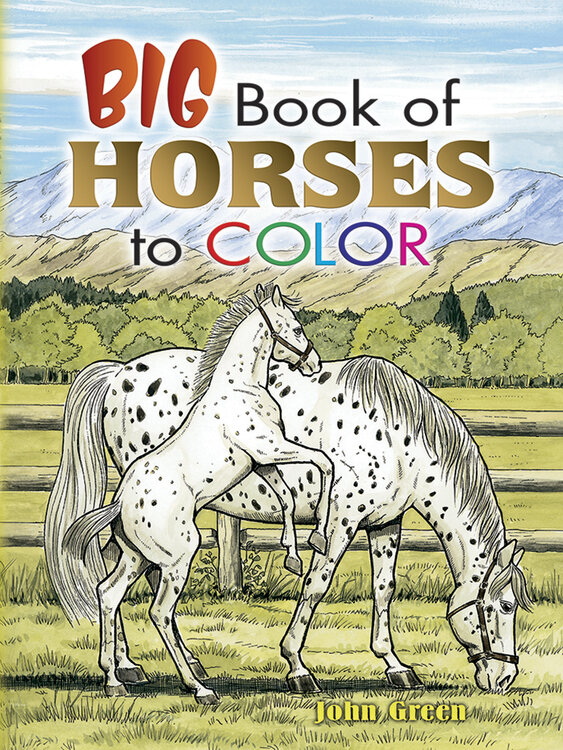 Big Book of Horses to Colour