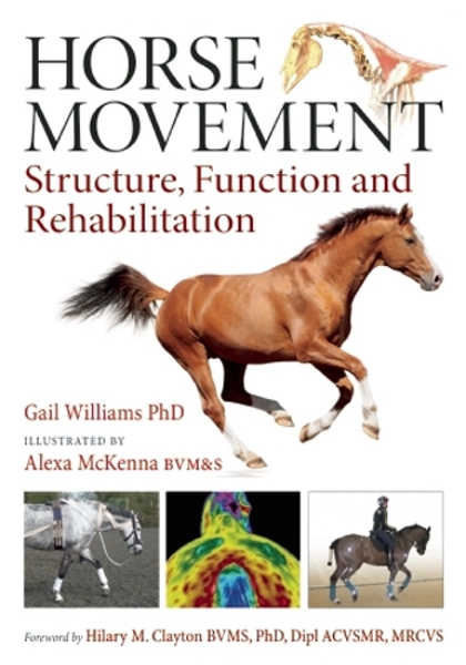Horse Movement