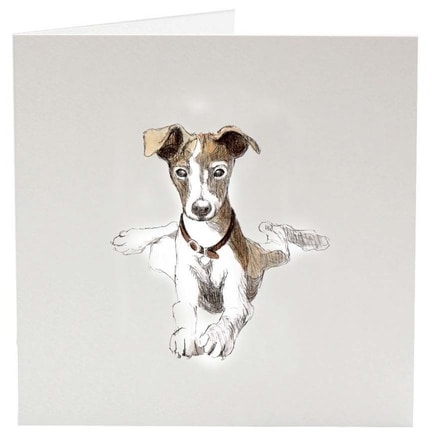 Greeting Card - Paula the Whippet