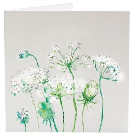 Greeting Card - Cow Parsley