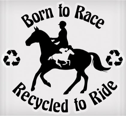 Vinyl Decal - Born to Race, Recycled to Ride 6