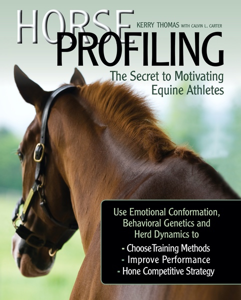 Horse Profiling: The Secret to Motivating Equines