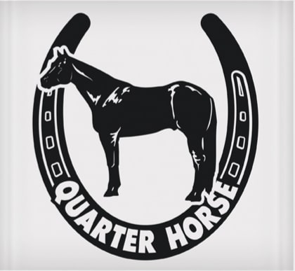 Vinyl Decal - Quarter Horse in Horseshoe 6
