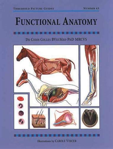 Threshold Guide #43 - Functional Anatomy